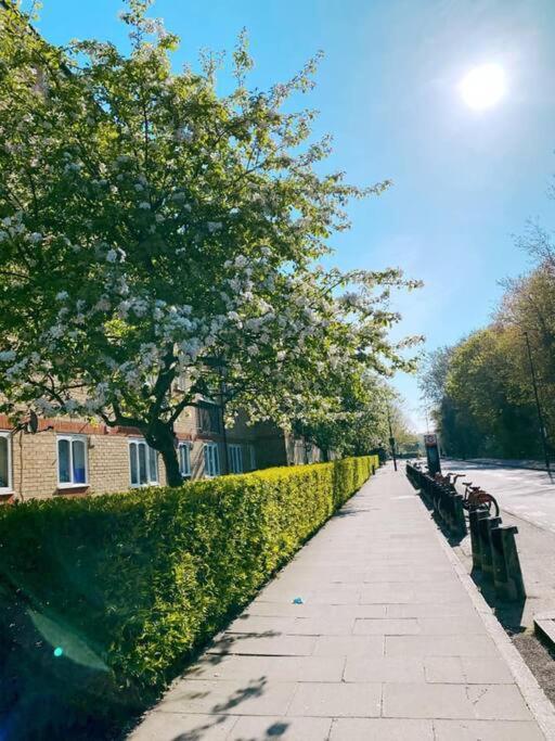 Bright &Spacious One Bedroom Flat Off Canary Wharf لندن المظهر الخارجي الصورة